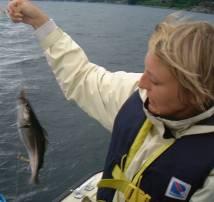 Fishing coalfish
